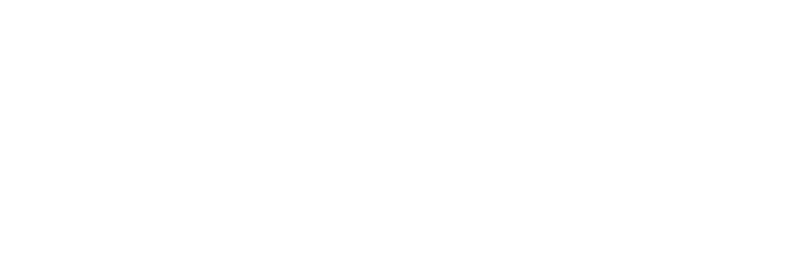 Street liftings logo blanc