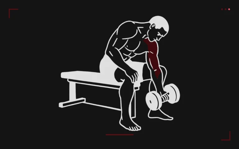 Curl concentré : un homme assis sur un banc, coude calé sur la cuisse, monte un haltère, biceps surligné