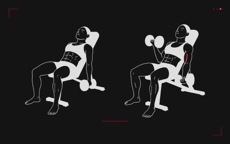 Curl incliné aux haltères : un homme allongé sur un banc incliné, bras pendants puis haltère monté, biceps surligné