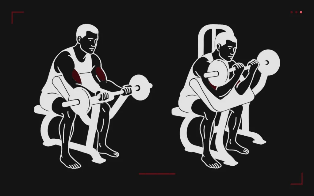 Curl pupitre : un homme assis au pupitre, bras posés, monte une barre EZ, biceps surlignés