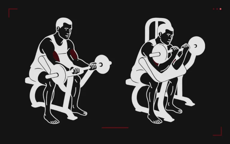 Curl pupitre : un homme assis au pupitre, bras posés, monte une barre EZ, biceps surlignés
