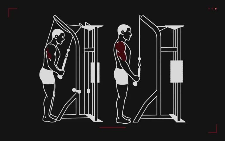 Extension triceps à la poulie haute : un homme debout pousse la barre vers le bas, triceps surlignés en rouge