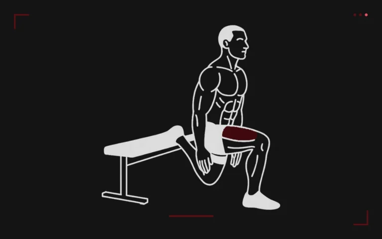 Fente bulgare : un homme en fente, pied arrière posé sur un banc, cuisse avant surlignée en rouge