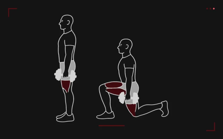 Fentes marchées avec haltères : un homme debout puis en fente avant, les quadriceps surlignés