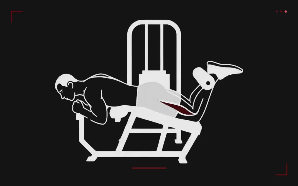 Leg curl allongé à la machine : un homme à plat ventre fléchit les jambes, ischio-jambiers surlignés