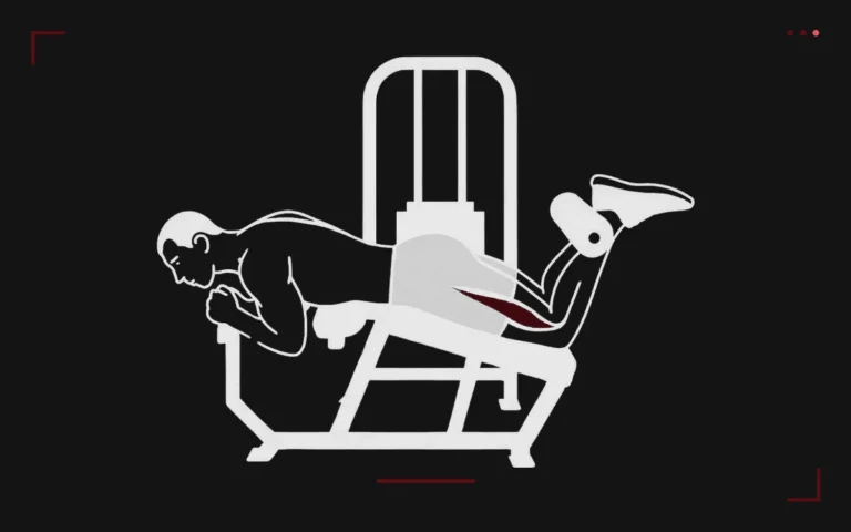 Leg curl allongé à la machine : un homme à plat ventre fléchit les jambes, ischio-jambiers surlignés