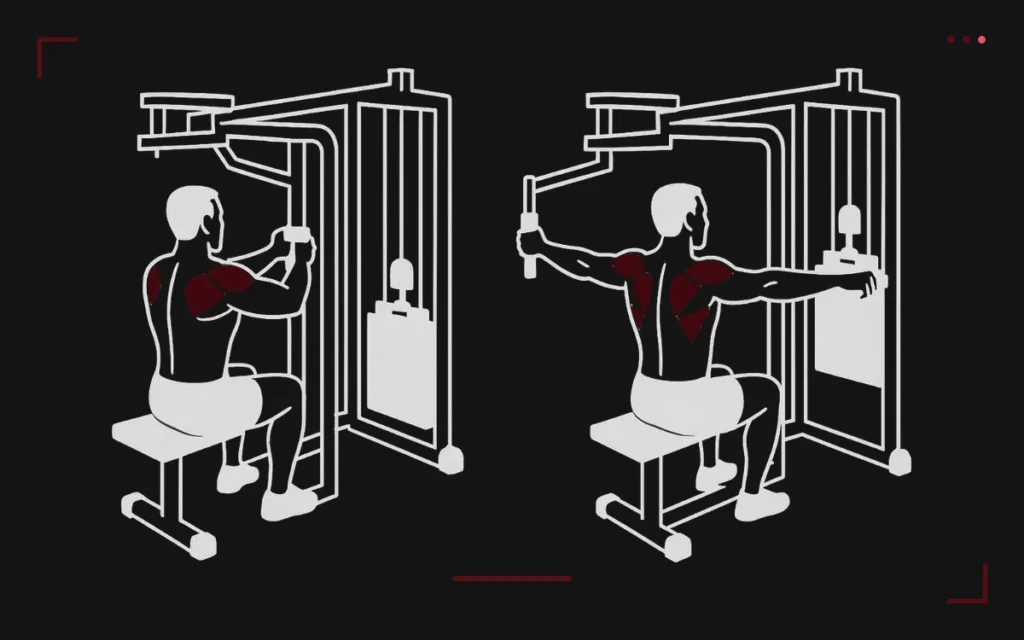 Peck deck inversé : un homme assis dos à la machine écarte les bras, deltoïdes arrière surlignés